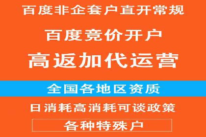 百度推广的秘诀：以某电商平台的成功经验为例